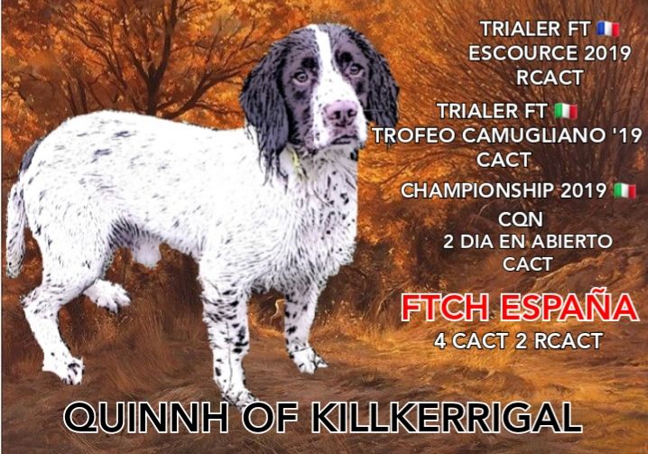 Quinnh of killkerrigal Killkerrygal